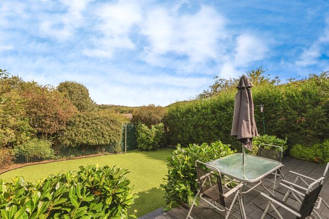 Rear Gardens