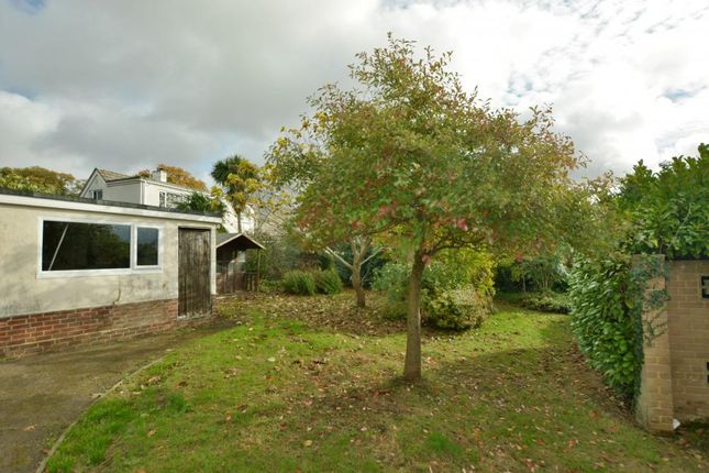 16, Lawns Road, Colehill photo 2