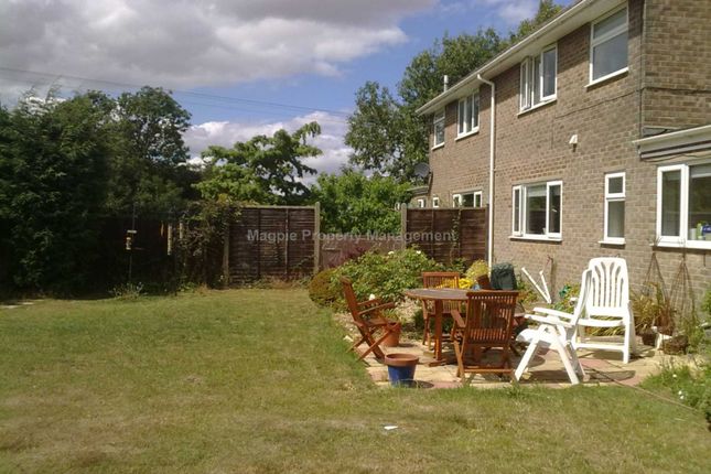 Semi-detached house to rent in Covington Lane, Tilbrook Grange Farm, Kimbolton, Huntingdon