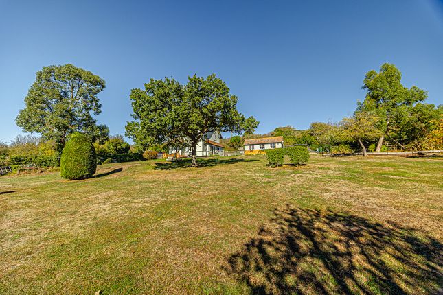 The Downs, Benfleet photo 3