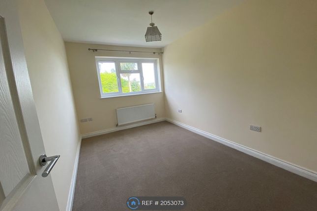 Bungalow to rent in West View Close, Bridgwater