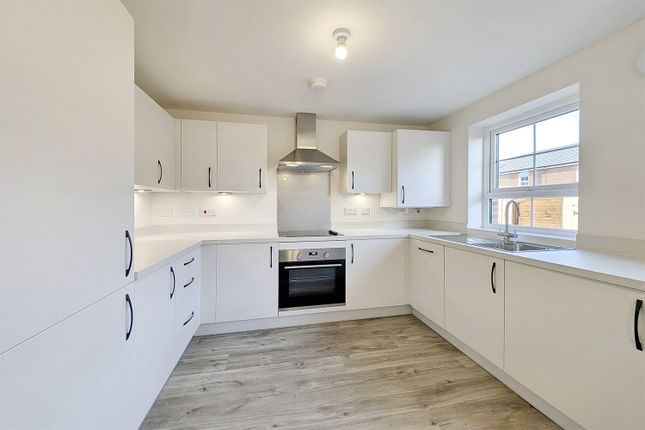 57, Lavender Way, West Meadows, Cramlington photo 3