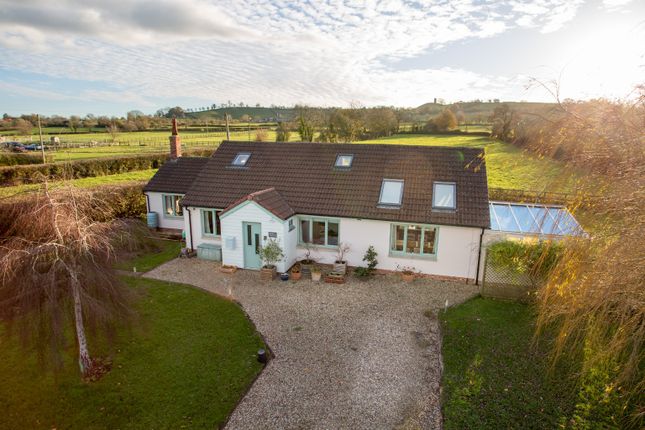 Thumbnail Detached house for sale in Wick, Glastonbury