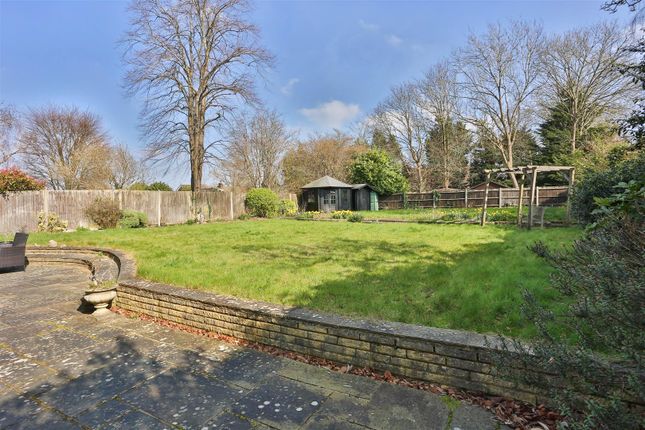 Detached house to rent in Shirley Avenue, Cheam, Sutton