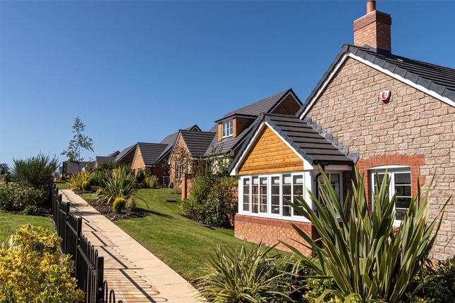 2-bed bungalow on Bee Meadow, South Molton, £399,995