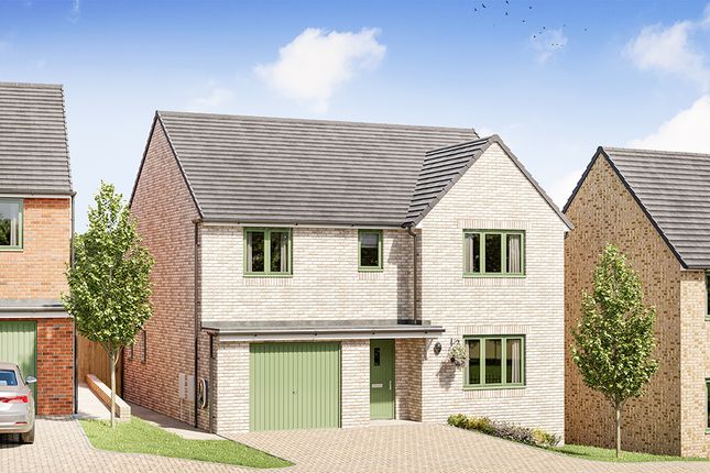 Detached house for sale in "The Tiverton" at Fitzhugh Rise, Wellingborough