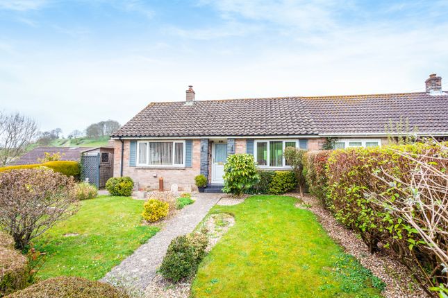 Thumbnail Semi-detached bungalow to rent in Well Plot, Loders, Bridport