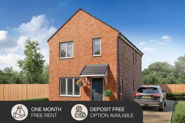 Brandon - 1Mfr &amp; Deposit Free - CGI (No Garage).Pn