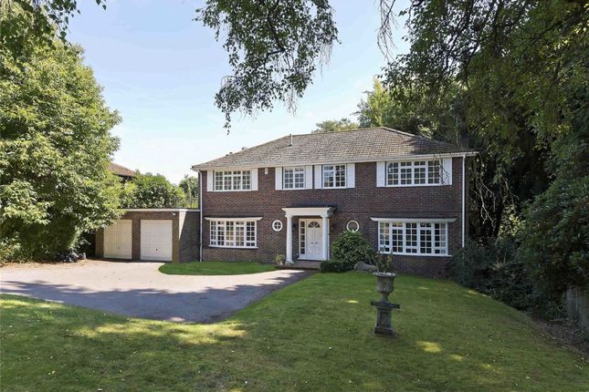 Detached house to rent in Beech Close, Cobham KT11