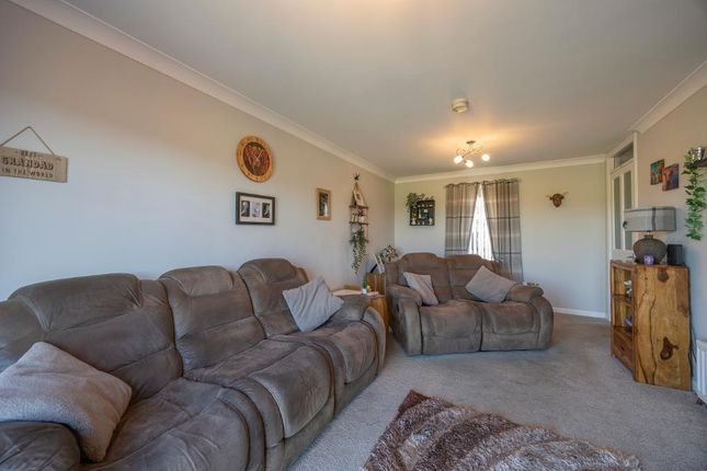 46, The Riggs, Auchtermuchty photo 4