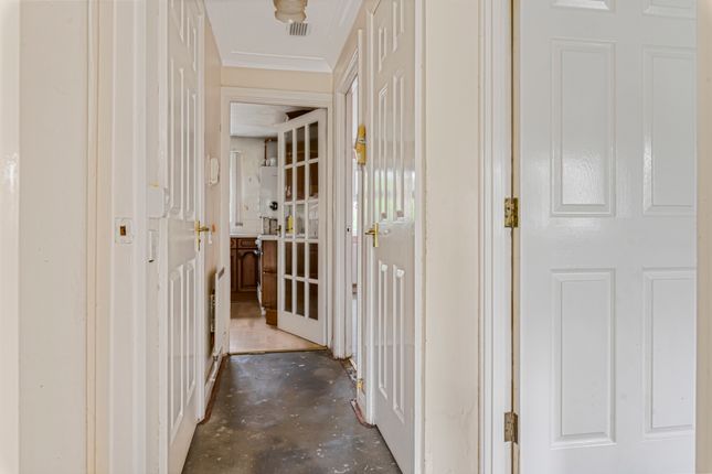 Hallway (2)