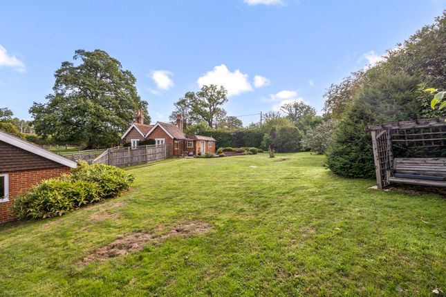 The Lodge Buckham Hill, Uckfield photo 4