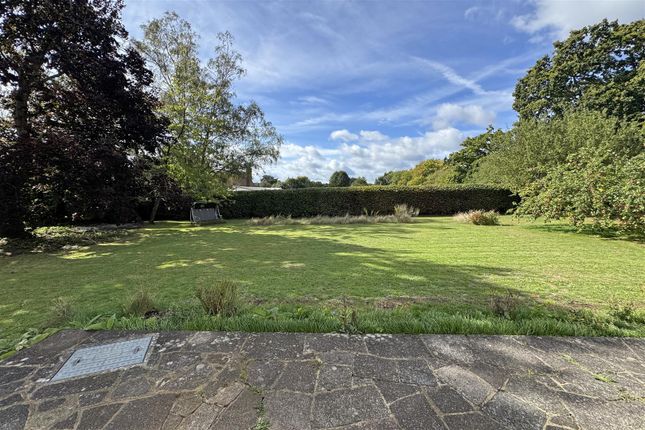 5, The Lawns, Milford photo 4