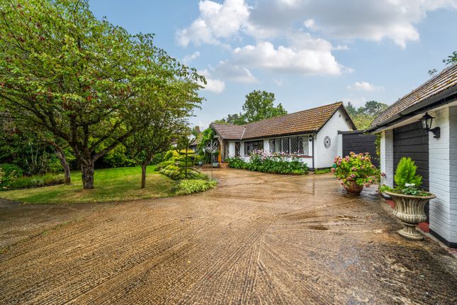 White Hall,, Hook Heath Road, Surrey photo 2
