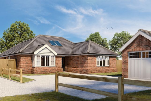 Thumbnail Detached bungalow for sale in Plot 14, Bells Meadow, Raydon