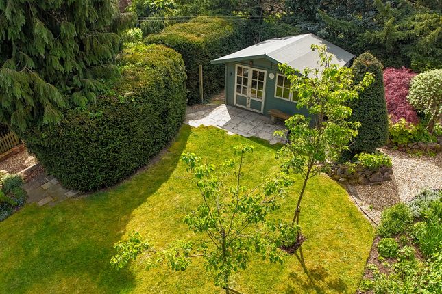 Garden c