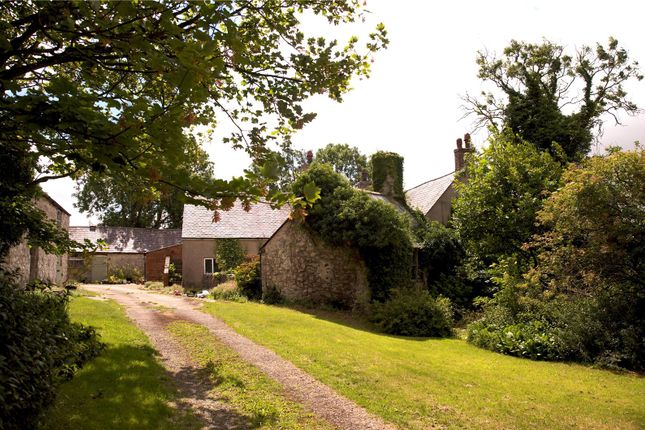 Garneddwen Fawr,, Garneddwen, Holywell photo 4