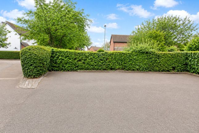 8, Cusak Road, Chelmsford photo 3