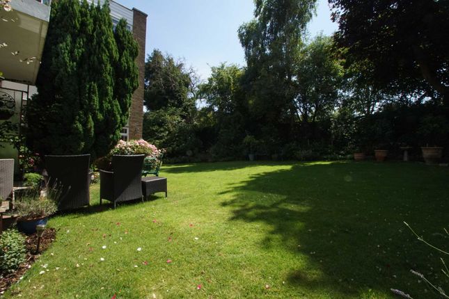 Kitsbury Court, Berkhamsted photo 2