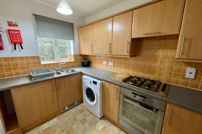 Semi-detached house to rent in Tolye Road, Norwich