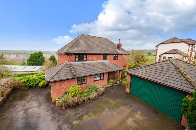 Thumbnail Detached house for sale in The Paddocks, Cove, Tiverton, Devon