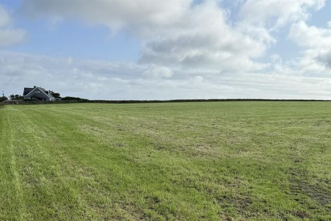 Potential development land, Potential development land, Berstane Loan,, Kirkwall photo 4