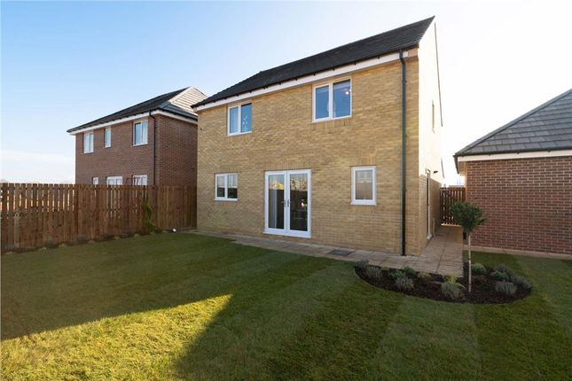 Detached house for sale in "The Hazelwood" at Flatts Lane, Normanby, Middlesbrough