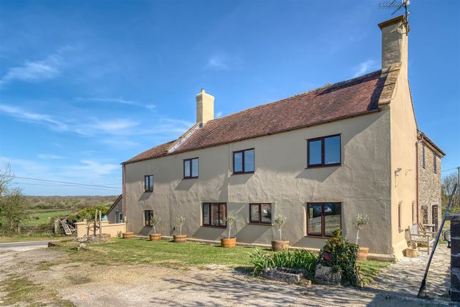 Boys Hill Farm, Boys Hill Drove, Sherborne photo 3