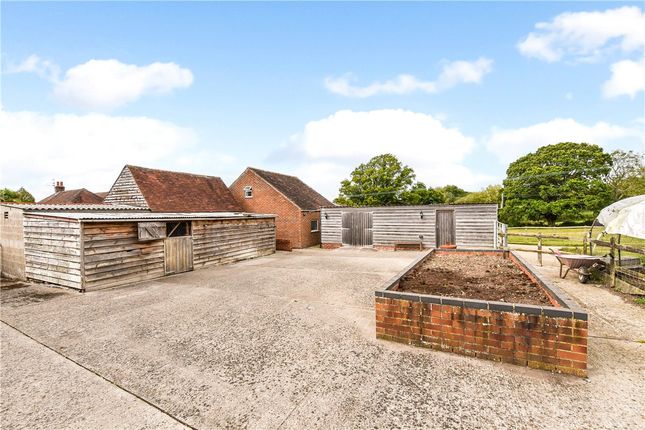 Collyers Farm,, Forest Road, Hambledon photo 4