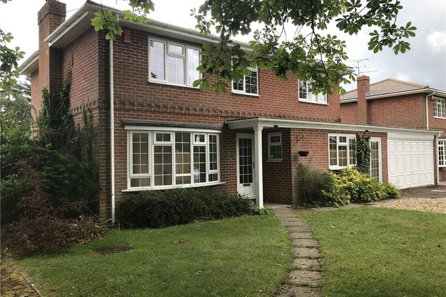 Thumbnail Detached house to rent in Romans Field, Silchester, Reading, Hampshire