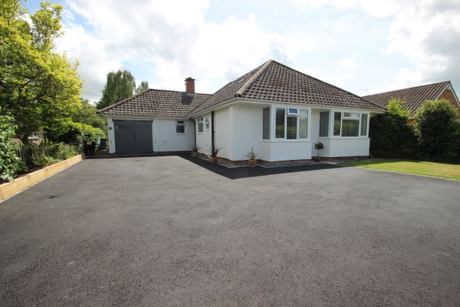 Thumbnail Detached bungalow for sale in Overbury Road, Hereford