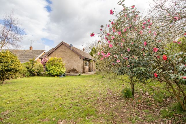 14 Manorside, Dersingham, Norfolk photo 2