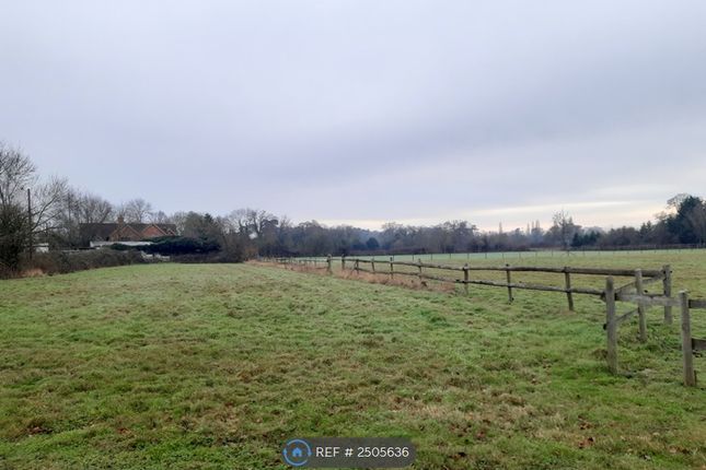 Country Views And Use Of Paddock On Site