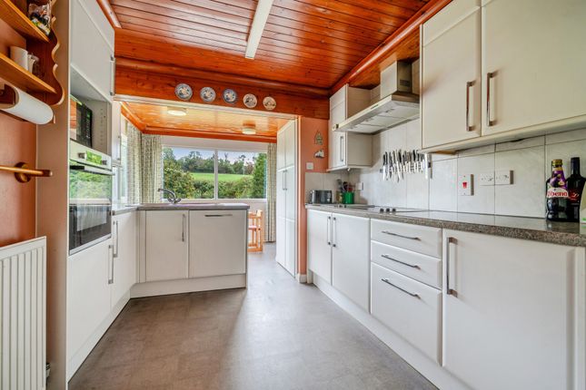 Dornafield Drive West, Newton Abbot photo 4