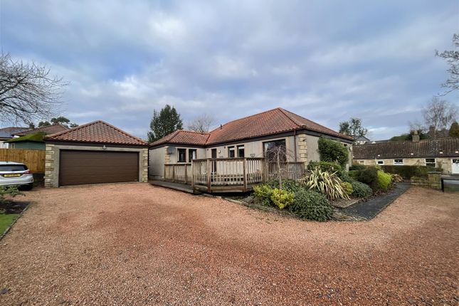 Thumbnail Detached bungalow for sale in Crailyn, The Row, Letham