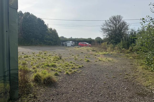 View Of Yard Towards The Road