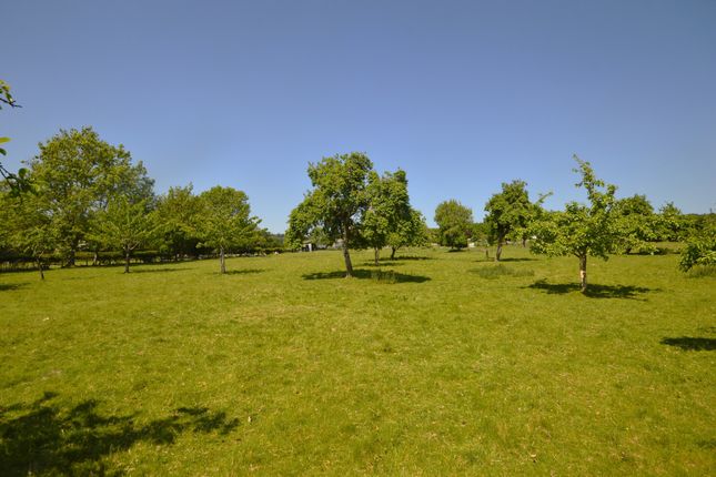 Paddock Land