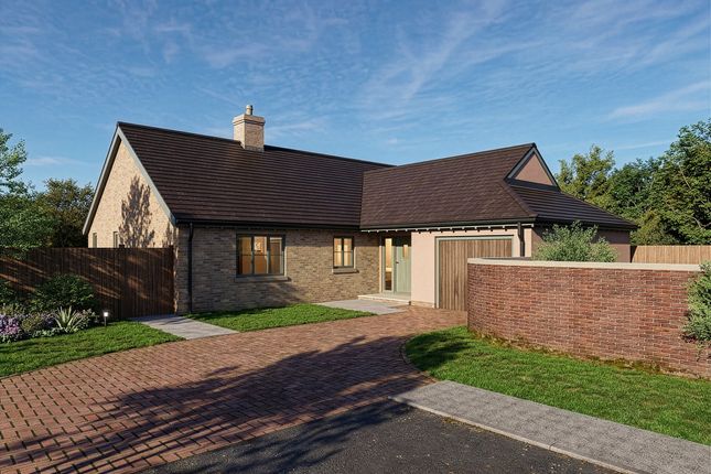 Plot 9 - The Poppy (Bungalow Type 3), The Old Nursery, Clare photo 2