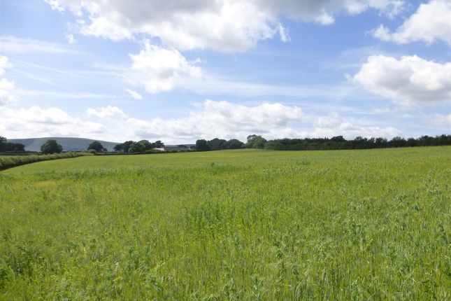 Lot 3 - Approx. 26.27 Acres Of Arable/Pasture Land