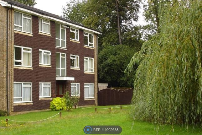 Thumbnail Flat to rent in Haversham House, Horley