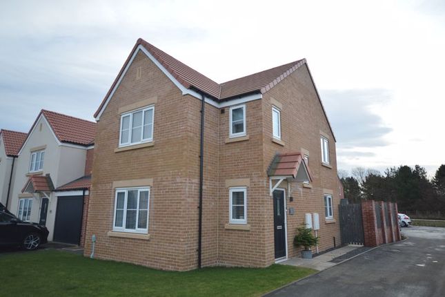 Detached house for sale in Gannet Drive, Morpeth