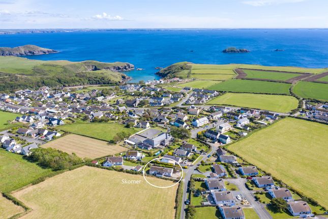 Skomer - Solva - Wwp -9.Jpg