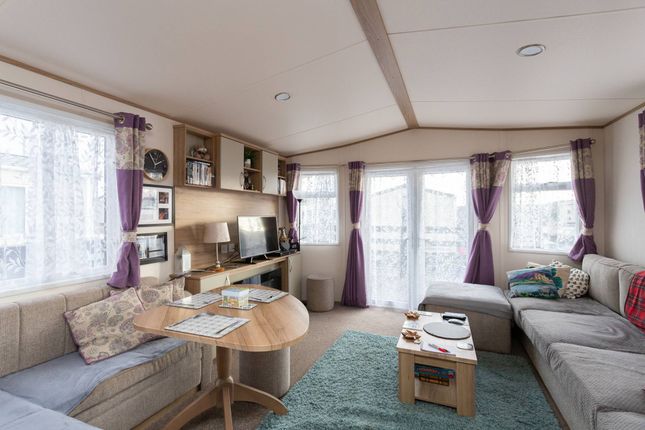 Annsmuir Caravan Park, Cupar photo 3