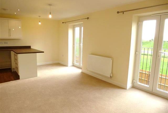 25, Taunton photo 3