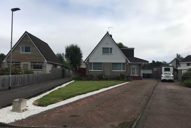 Thumbnail Flat to rent in Cedar Avenue, Stirling