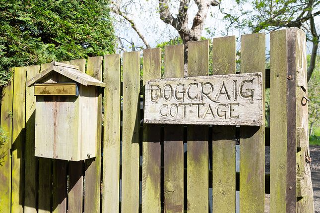 Dogcraig Cottage, Kailzie, Peebles photo 3
