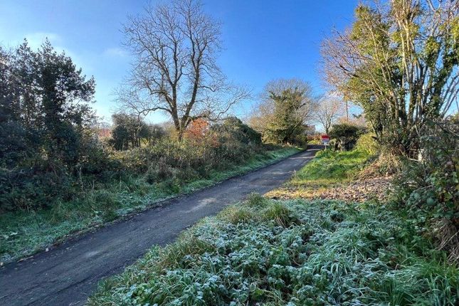 Land for sale in Cookbury, Holsworthy, Devon