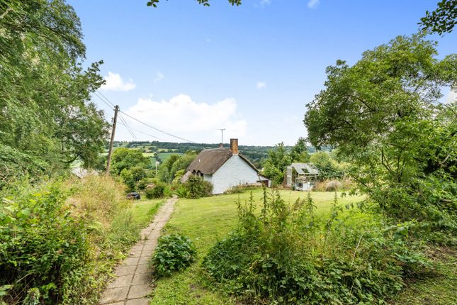 Cottage for sale in Pound Lane, Upottery, Honiton