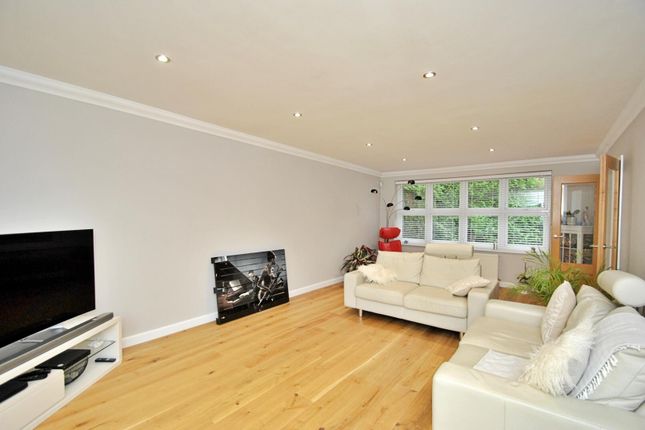 115, Hillside Road, Wimborne photo 4