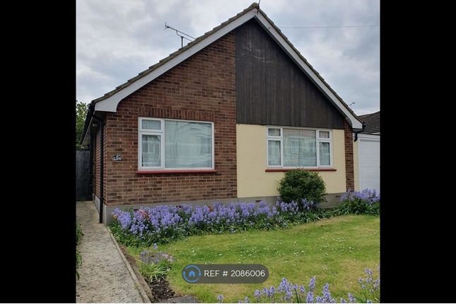 Thumbnail Bungalow to rent in Church Road, Hadleigh, Benfleet